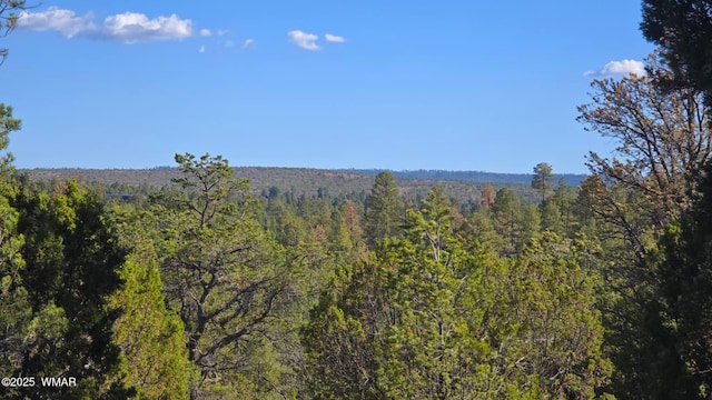 2947 E Lookout Ln, Overgaard, AZ 85933 - photo 3