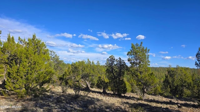 2947 E Lookout Ln, Overgaard, AZ 85933 - photo 5