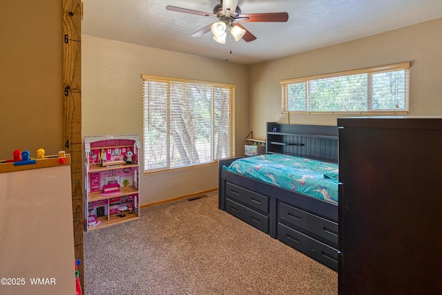 2611 Ellsworth Ave, Show Low, AZ 85901 - photo 13