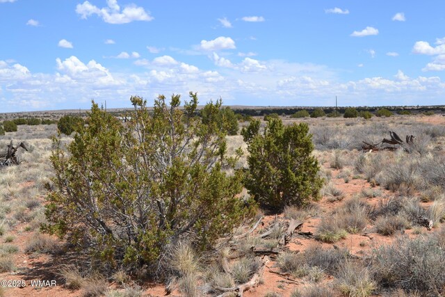 LOT020D E 24th St N, Snowflake, AZ 85937 - photo 4