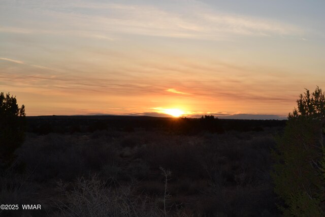 LOT020D E 24th St N, Snowflake, AZ 85937 - photo 6
