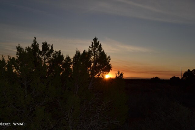 LOT020D E 24th St N, Snowflake, AZ 85937 - photo 7