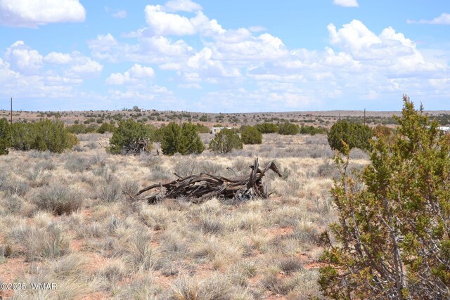 LOT020D E 24th St N, Snowflake, AZ 85937 - photo 5