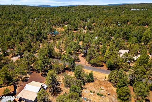 4914 Deer Vly, Lakeside, AZ 85929 - photo 32