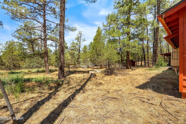 4914 Deer Vly, Lakeside, AZ 85929 - photo 27