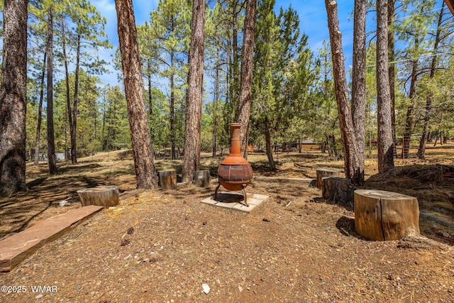 4914 Deer Vly, Lakeside, AZ 85929 - photo 26