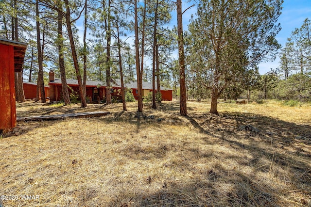 4914 Deer Vly, Lakeside, AZ 85929 - photo 25