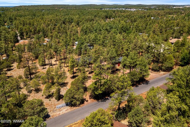 4914 Deer Vly, Lakeside, AZ 85929 - photo 30