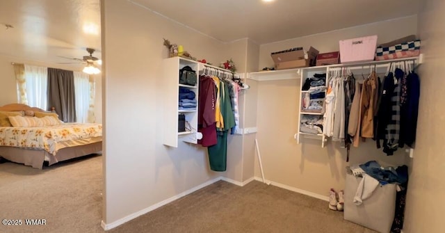 walk in closet with carpet floors and ceiling fan