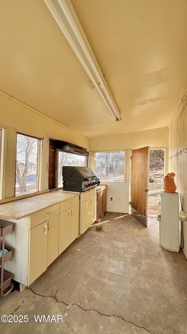 view of patio / terrace featuring exterior kitchen