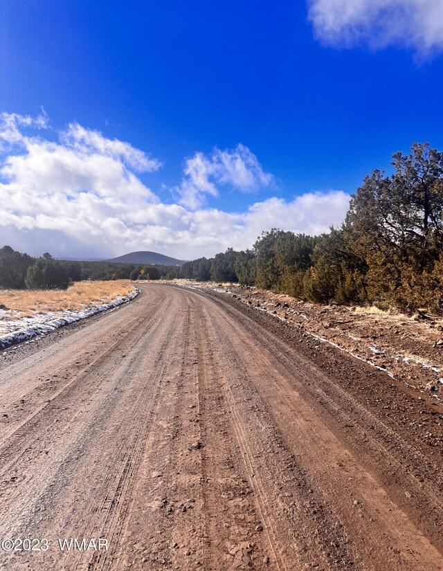 11 County Road 3149, Vernon, AZ 85940 - photo 8