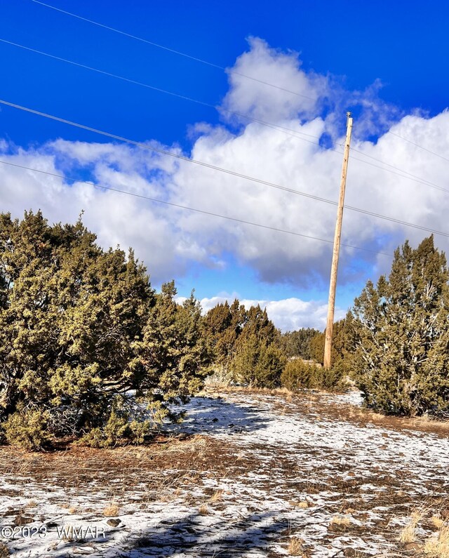 11 County Road 3149, Vernon, AZ 85940 - photo 15