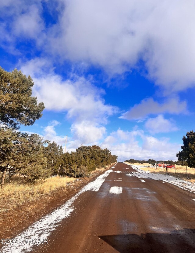11 County Road 3149, Vernon, AZ 85940 - photo 7
