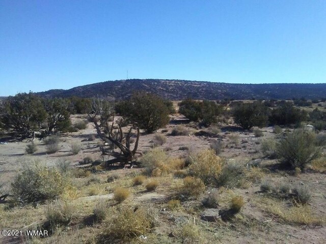 4596 El Dorado Rd, Snowflake, AZ 85937