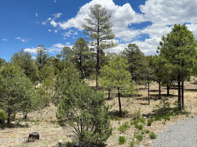 3337 Sawmill Ridge Loop, Heber AZ, 85928 land for sale