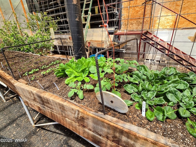 exterior view of a garden