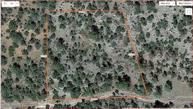 2252 Mulligan Dr, Overgaard, AZ 85933