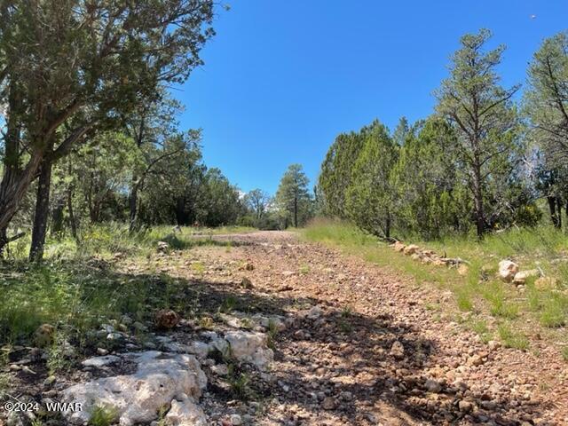 2252 Mulligan Dr, Overgaard, AZ 85933