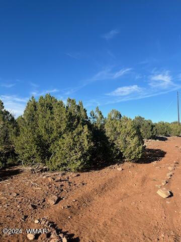 8766 Clark Rd, Show Low, AZ 85901