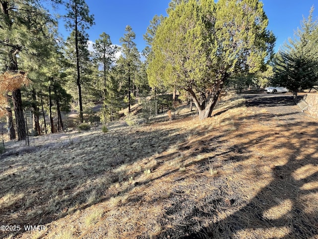 2321 Chandelle Ln, Overgaard, AZ 85933 - view of yard