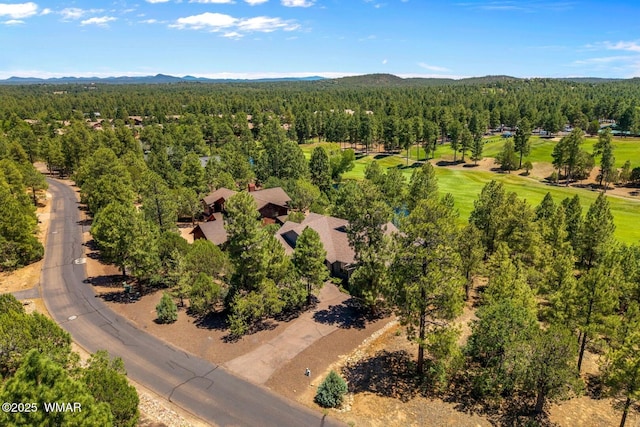 3990 W Sugar Pine Loop, Show Low, AZ 85901 - photo 42