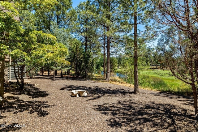 3990 W Sugar Pine Loop, Show Low, AZ 85901 - photo 35