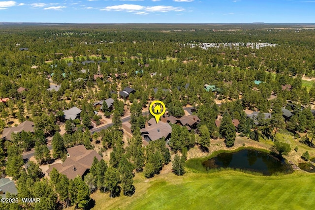 3990 W Sugar Pine Loop, Show Low, AZ 85901 - photo 44