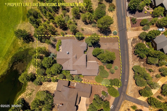 3990 W Sugar Pine Loop, Show Low, AZ 85901 - photo 45