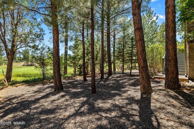 3990 W Sugar Pine Loop, Show Low, AZ 85901 - photo 36