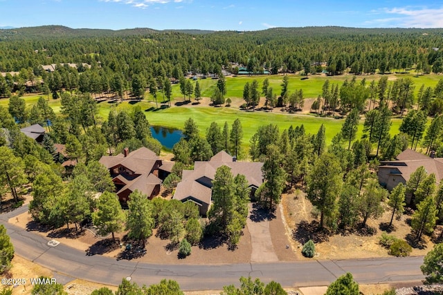 3990 W Sugar Pine Loop, Show Low, AZ 85901 - photo 41