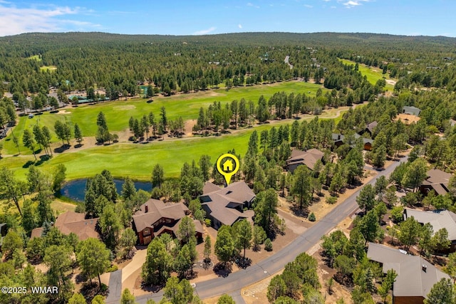 3990 W Sugar Pine Loop, Show Low, AZ 85901 - photo 43