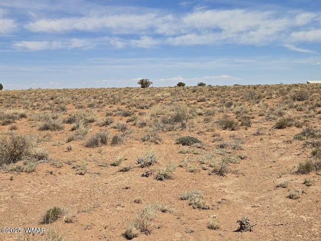 TBD N Clyde Rd, Snowflake, AZ 85937