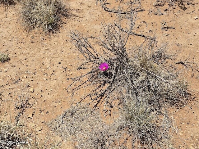 TBD N Clyde Rd, Snowflake, AZ 85937