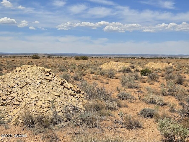 TBD N Clyde Rd, Snowflake, AZ 85937