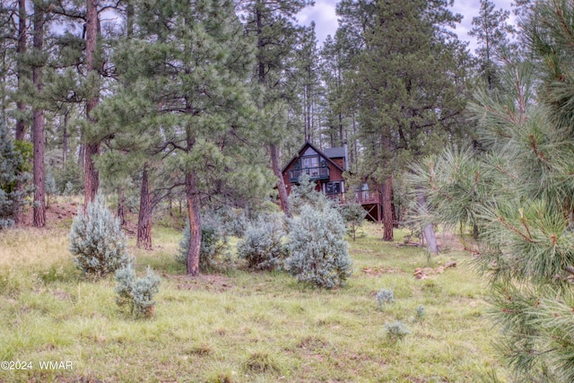 1144 Christopher Creek Loop, Payson, AZ 85541 - view of yard