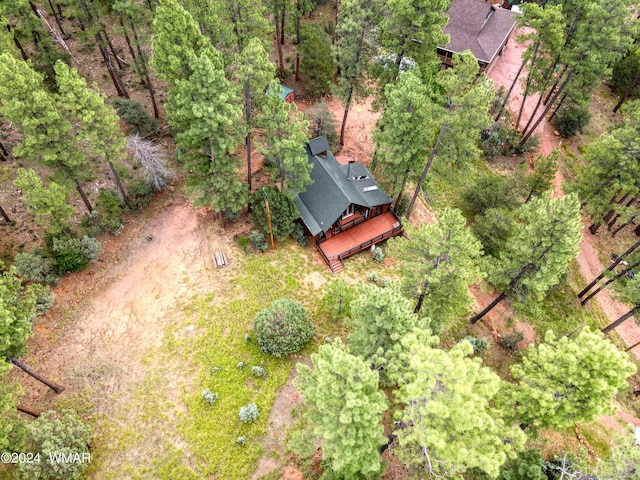 1144 Christopher Creek Loop, Payson, AZ 85541 - view of subject property