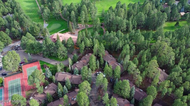 2868 Park Cir, Pinetop, AZ 85935 - photo 21