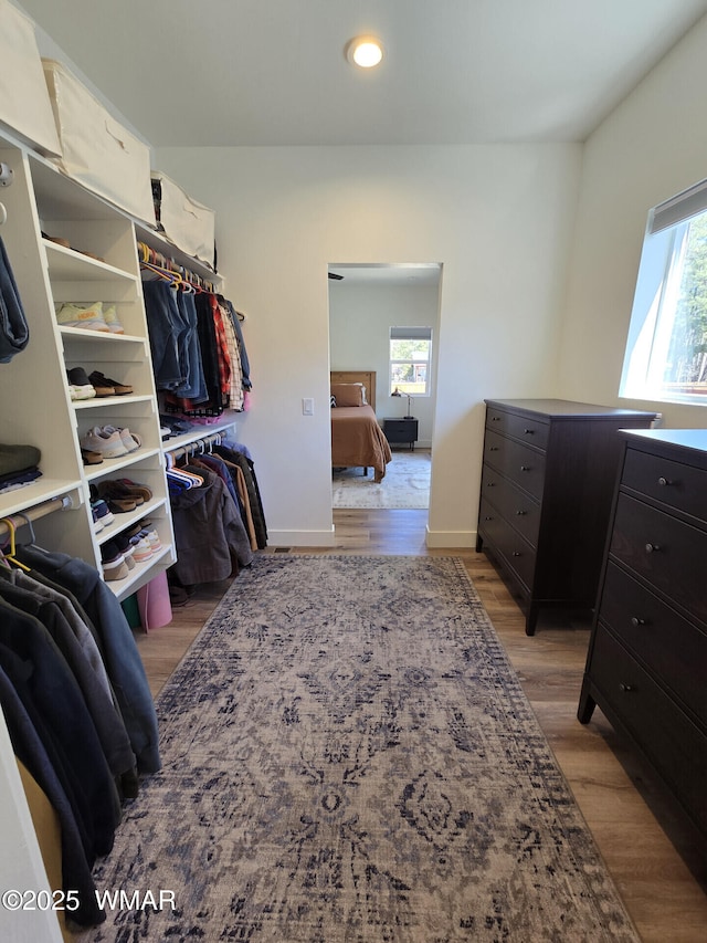 walk in closet with wood finished floors