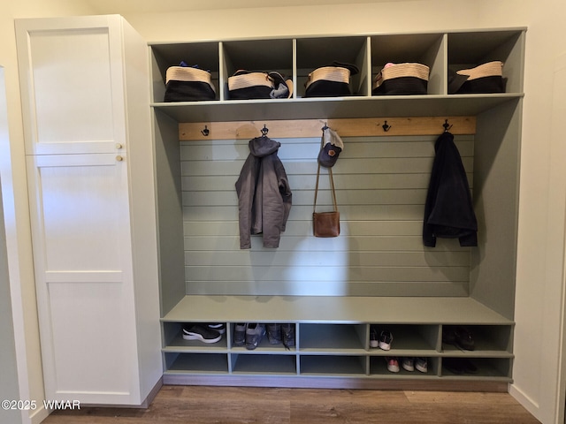 mudroom featuring baseboards and wood finished floors