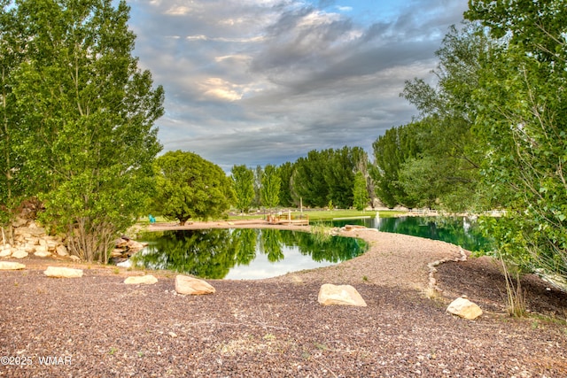 7444 Caldwell Canyon Rd, Snowflake, AZ 85937 - water view with a heavily wooded area