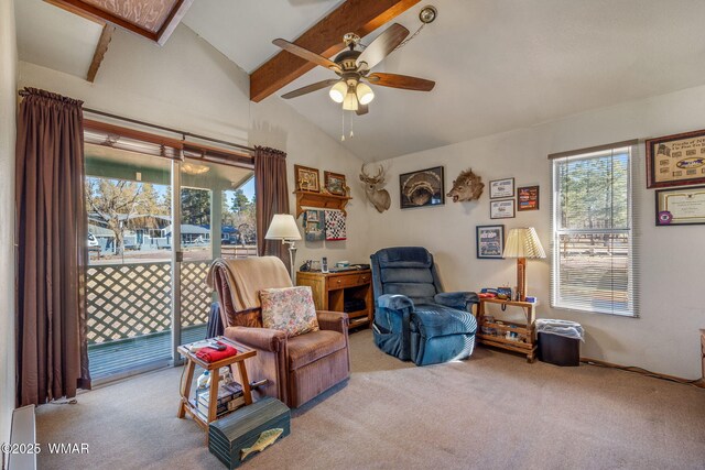 1286 Barbara Ln, Lakeside, AZ 85929 - photo 11