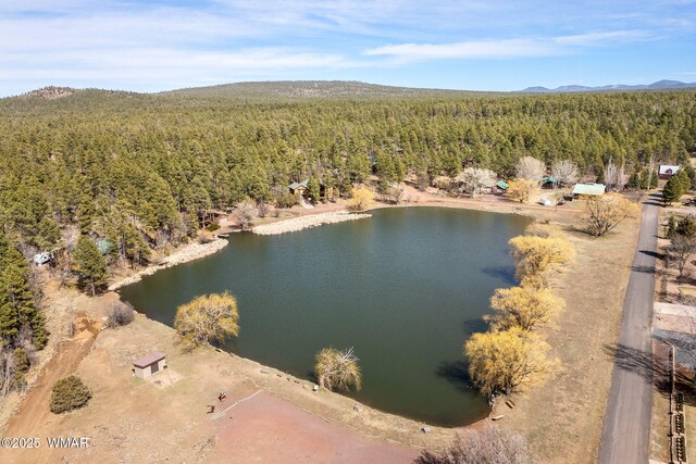 1286 Barbara Ln, Lakeside, AZ 85929 - photo 32