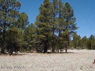 3120, 3122 Whitetail Way, Overgaard AZ, 85933 land for sale