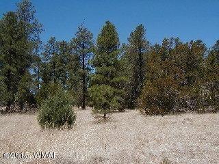 3120, 3122 Whitetail Way, Overgaard, AZ 85933 - photo 5
