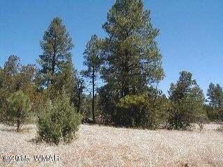 3120, 3122 Whitetail Way, Overgaard, AZ 85933 - photo 4