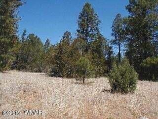 3120, 3122 Whitetail Way, Overgaard, AZ 85933 - photo 6