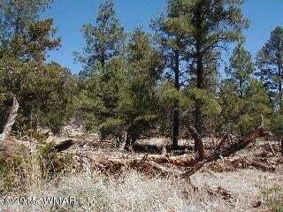 Listing photo 2 for 3120, 3122 Whitetail Way, Overgaard AZ 85933