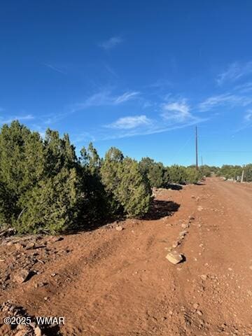 8754 Clark Rd, Show Low, AZ 85901