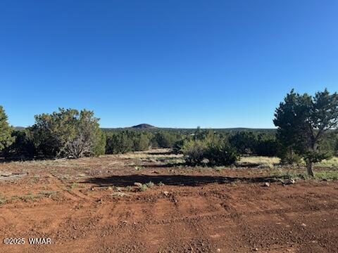 8754 Clark Rd, Show Low, AZ 85901