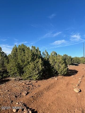 8754 Clark Rd, Show Low, AZ 85901